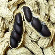 厚工高品質！ 雲林帶殼黑金剛花生（原味）